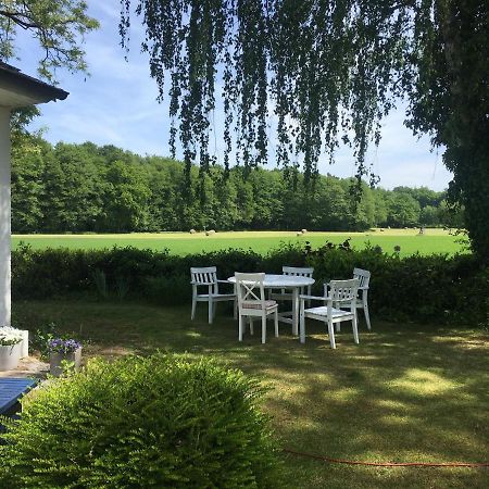 Wunderschones Haus Mit Herrlichem Panoramablick 뤼네부르크 외부 사진