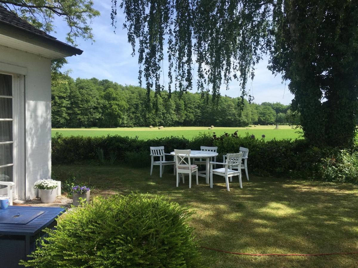 Wunderschones Haus Mit Herrlichem Panoramablick 뤼네부르크 외부 사진